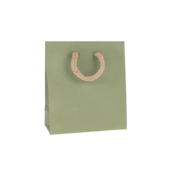 Geschenktüte natron-grün, klein