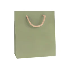 Geschenktüte natron-grün, mittel