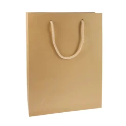 Geschenktüte natron, groß