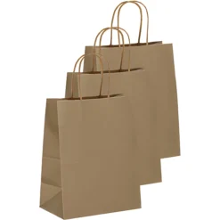 Geschenktüte natron, groß, 3 Stück