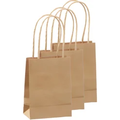 Geschenktüte natron, mittel, 3 Stück