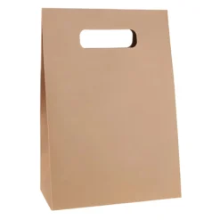 Geschenktüte natur, groß